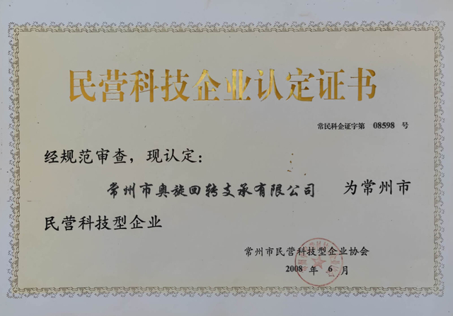 民营科技企业 2008
