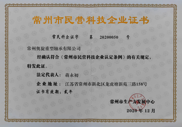 民营科技企业 2020