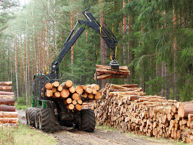 Forstwirtschaft und Landwirtschaft